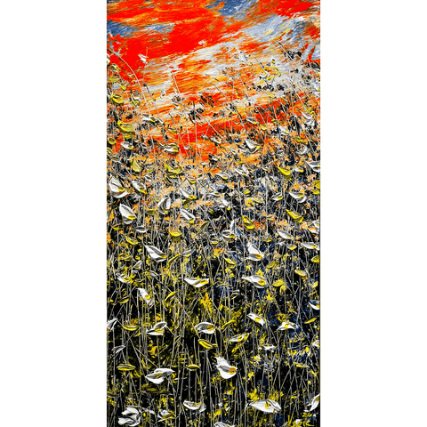Striking Cirrus 36x73