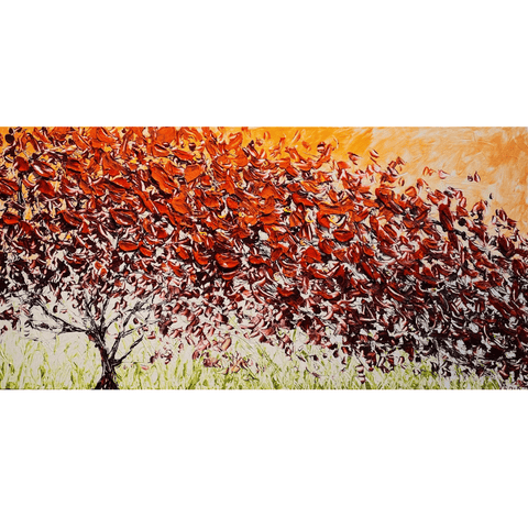 Verus 24x48