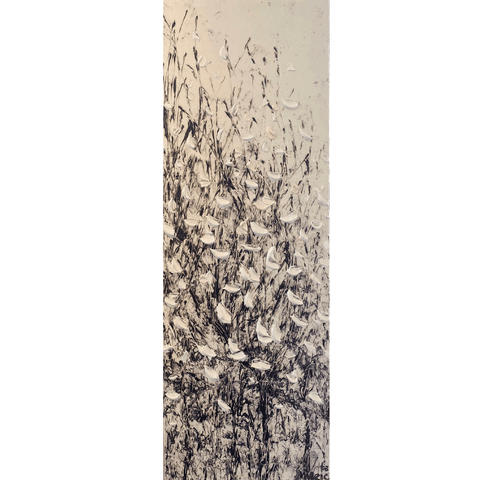 Monochromatica 16x46