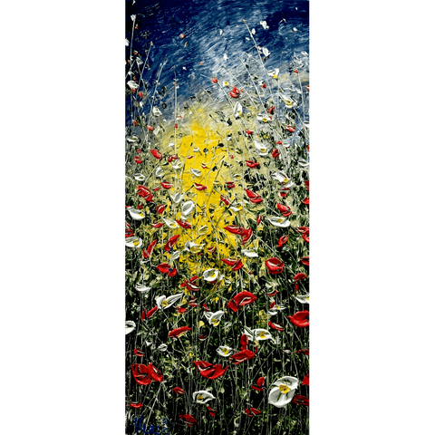 Approach 24x56